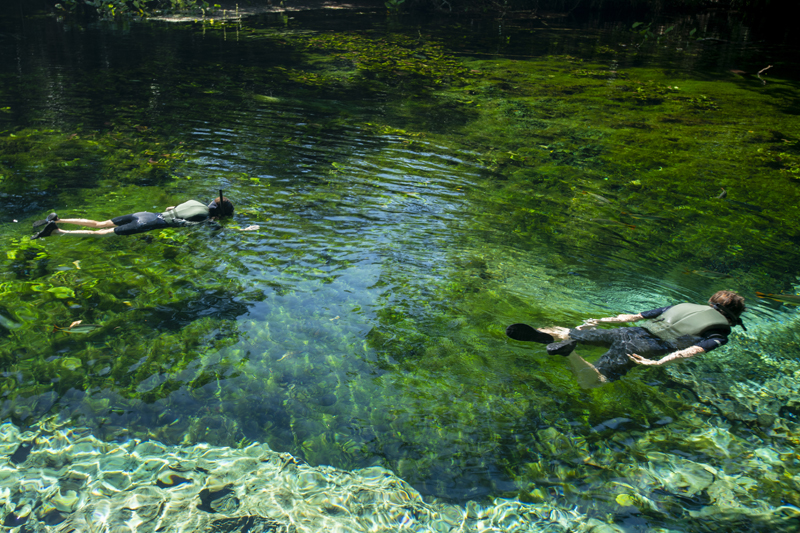 Bonito - Photo by Hudson Garcia (2)